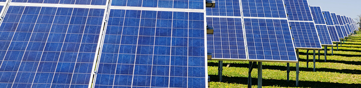 Chambers Expert Focus Energy