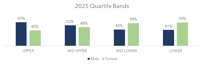 Graph showing 2025 quartile bands for proportion of males and females at Chambers UK